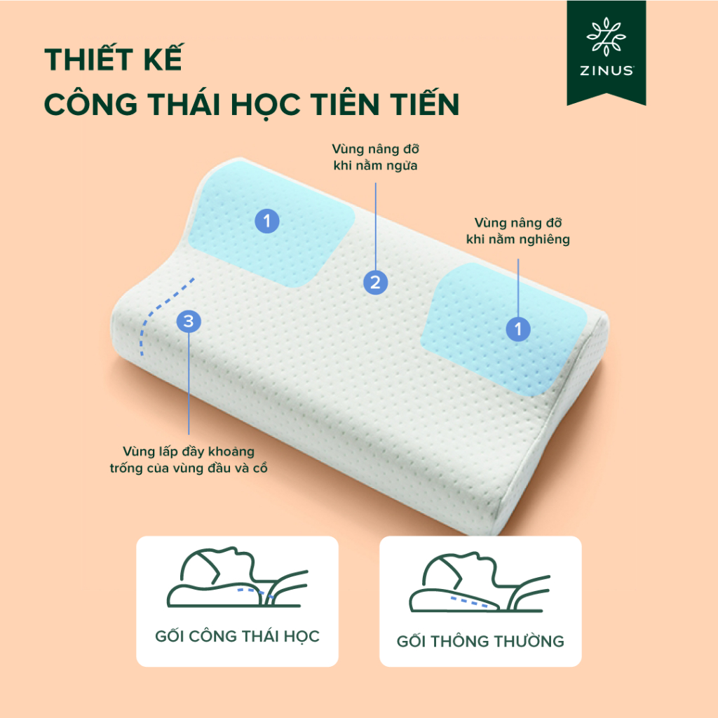 Ảnh Gối Cao Su Non Công Thái Học Giảm Đau Cổ Vai Gáy - Zinus Contour Pillow Memory Foam 4