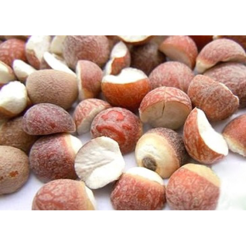 500GR Khiếm Thực ( Khô, Sạch, Đẹp ) Hàng Loại 1