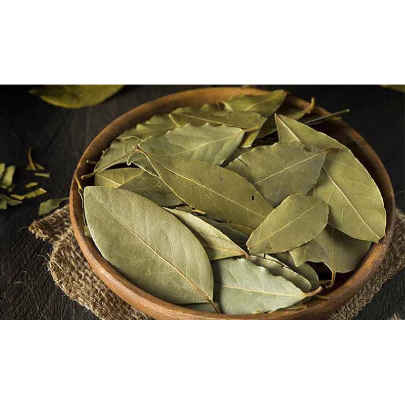 Lá Nguyệt Quế ( Lá Thơm ) Tăng Gia Vị Cho Các Món Ăn