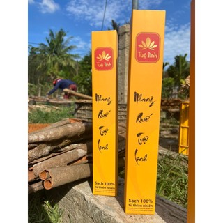 Nhang Quế Tuệ Linh Hương Quế Combo 2 Hộp , Nhang Hương Quế, Nhang Từ Vỏ Quế, Hương Thơm Dễ Chịu, Không Đậu Tàn.