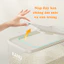 Thùng đựng gạo thông minh GADI lấy gạo tự động chất liệu nhựa PET cao cấp không mùi an toàn cho sức khỏe ( 5kg-10kg )