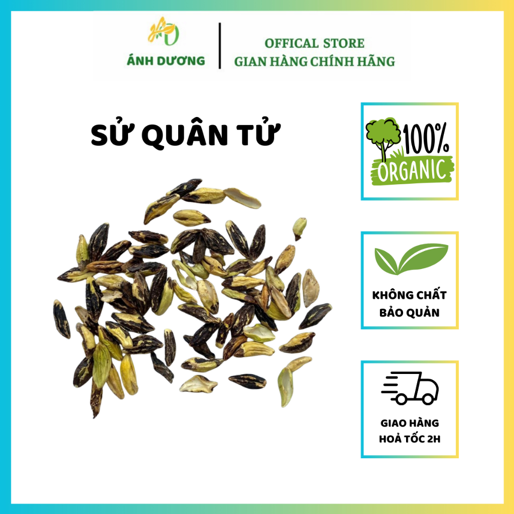 Hạt Sử Quân Tử ( Cây Quả Giun, Quả Nấc ) ( Khô, Sạch, Đẹp ) Hàng Loại 1