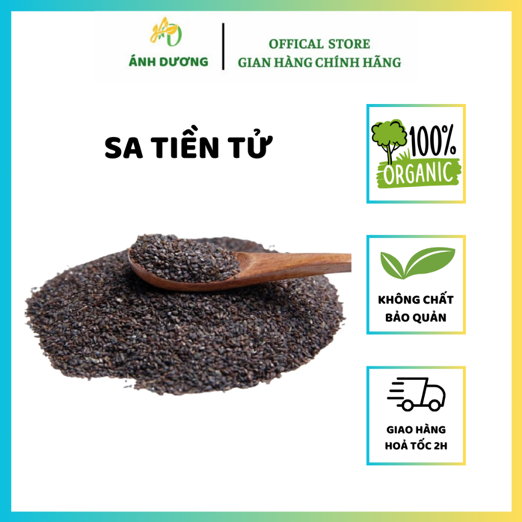 Sa Tiền Tử, Hạt Mã Đề ( Khô, Sạch ) Hàng Loại 1