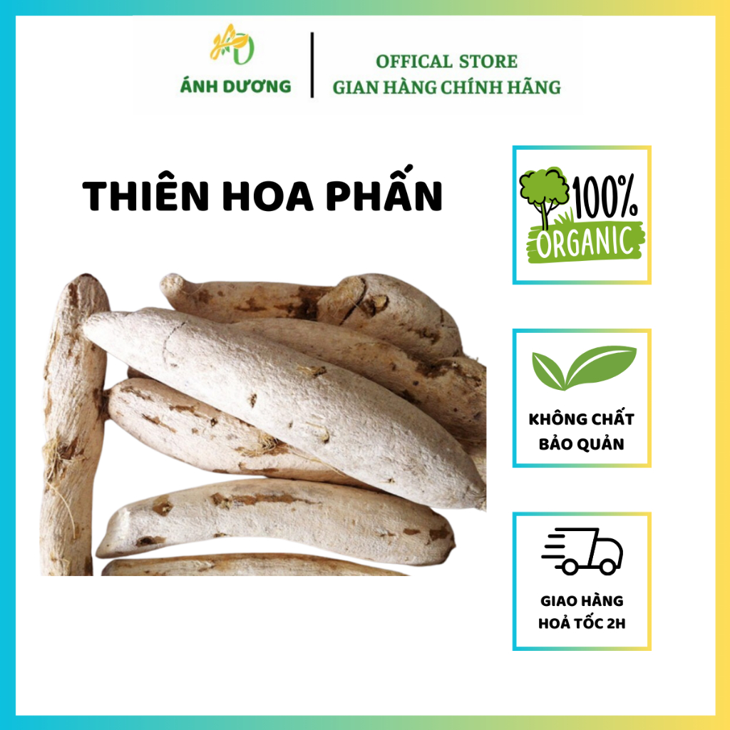 500GR Thiên Hoa Phấn, Rễ Qua Lâu ( Khô, Sạch, Đẹp ) Hàng Loại 1