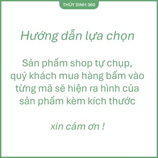 Đồ Chơi Gốm Cho Cá, Tép Cảnh - Sử Dụng Trang Trí - Hang Trú Ẩn Cho Cá, Tép, Pleco