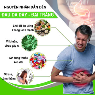 [Dạ dày mãn tính] Viên uống dạ dày đại tràng Fengcha cho người đau dạ dày đại tràng quanh năm bịch 450 viên
