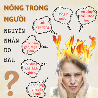 [Giải nóng trong] Trà thanh lọc cơ thể, giảm nóng trong Fengcha thanh nhiệt, thải độc gan , dạ dày, thận bịch 30 gói lọc