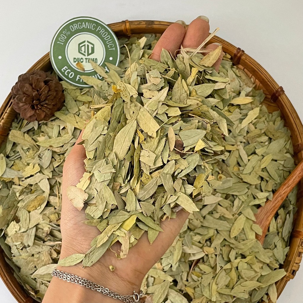 250g Phan Tả Diệp Loại 1 Đức Thiện (Khô, Sạch, Thơm) - Hỗ Trợ Táo Bón, Nhuận Tràng, Giải Độc Gan