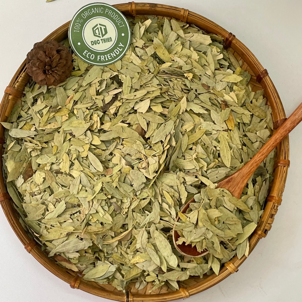 Combo 2kg Phan Tả Diệp Loại 1 Đức Thiện (Khô, Sạch, Thơm) - Hỗ Trợ Táo Bón, Nhuận Tràng