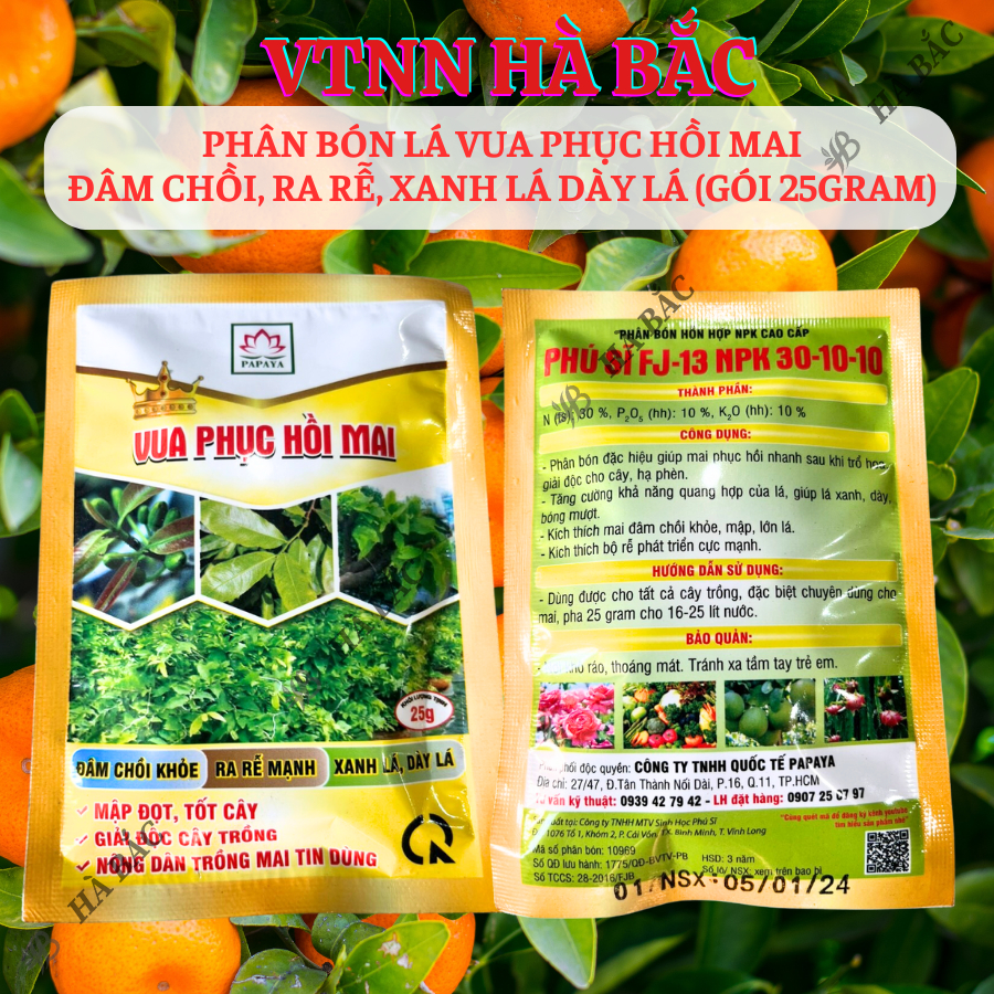 Phân Bón Lá Vua Phục Hồi Mai Đâm Chồi, Ra Rễ, Xanh Lá Dày Lá (Gói 25gram)