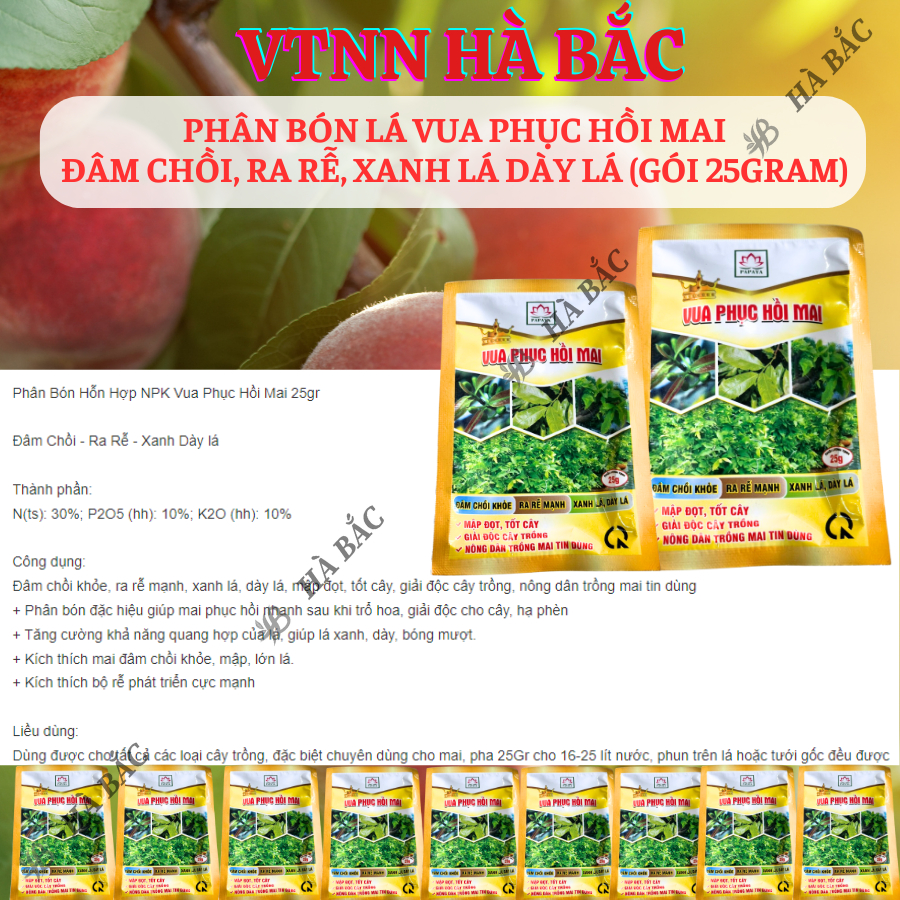 Phân Bón Lá Vua Phục Hồi Mai Đâm Chồi, Ra Rễ, Xanh Lá Dày Lá (Gói 25gram)