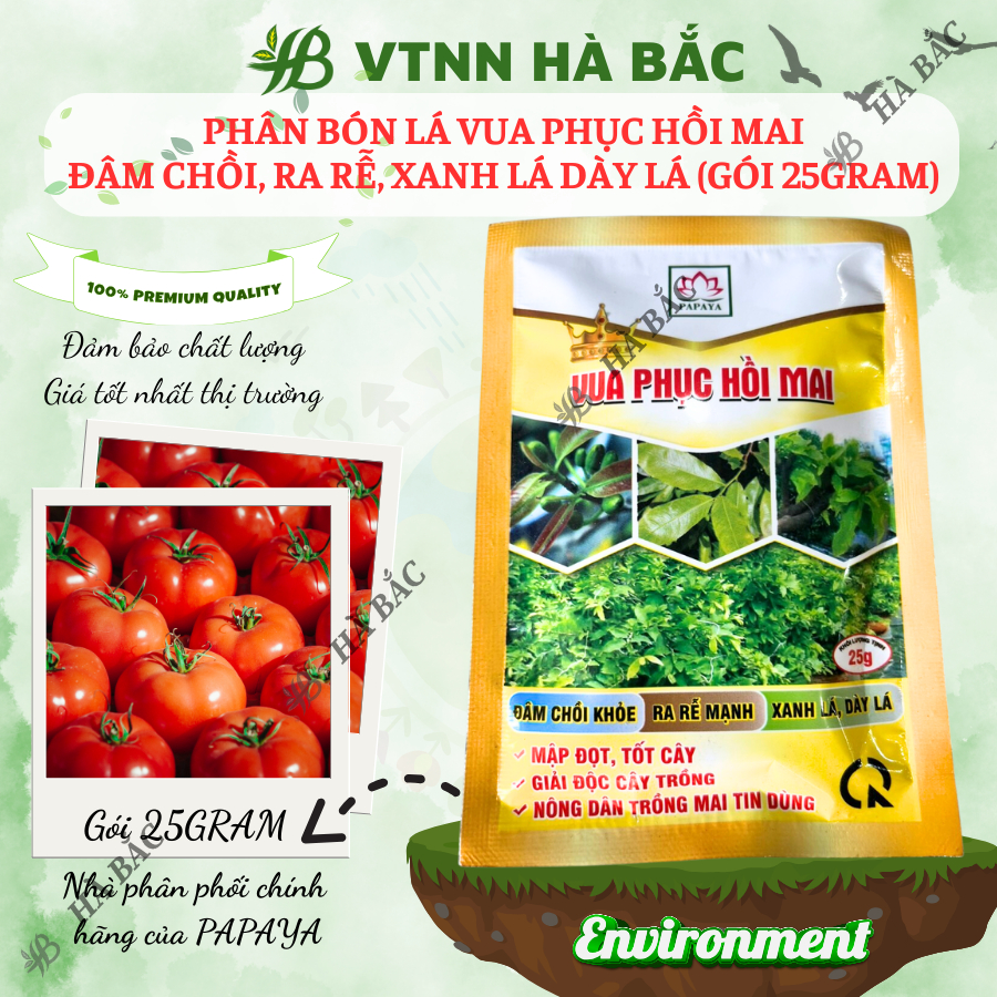 Phân Bón Lá Vua Phục Hồi Mai Đâm Chồi, Ra Rễ, Xanh Lá Dày Lá (Gói 25gram)