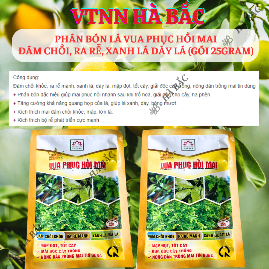 Phân Bón Lá Vua Phục Hồi Mai Đâm Chồi, Ra Rễ, Xanh Lá Dày Lá (Gói 25gram)
