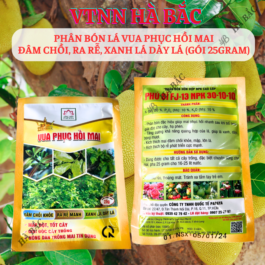 Phân Bón Lá Vua Phục Hồi Mai Đâm Chồi, Ra Rễ, Xanh Lá Dày Lá (Gói 25gram)