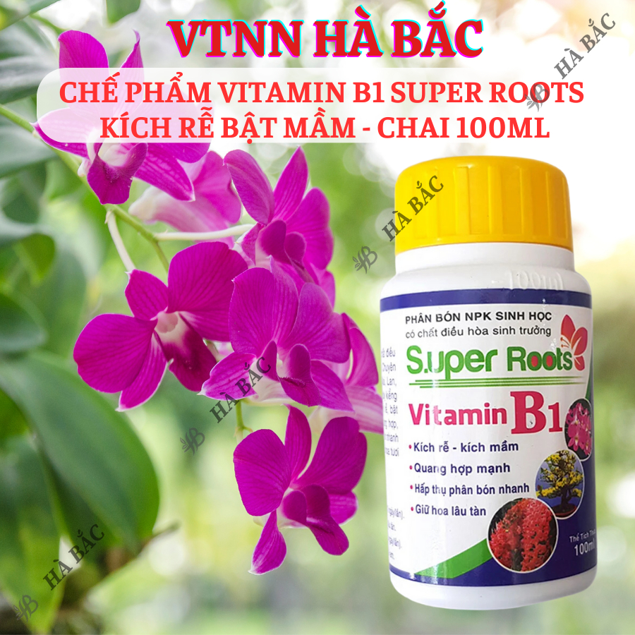 Chế phẩm Vitamin B1 Super Roots  kích rễ bật mầm - chai 100ml, Kích rễ, giữ hoa lâu tàn cho cây cảnh, hoa lan