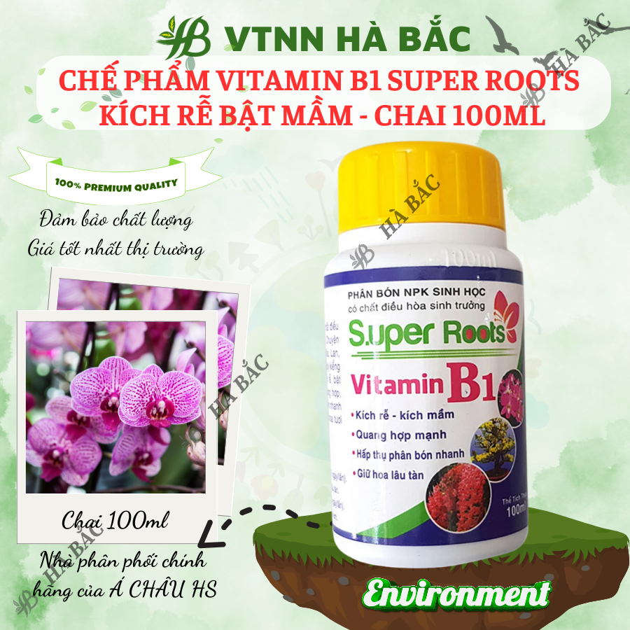 Chế phẩm Vitamin B1 Super Roots  kích rễ bật mầm - chai 100ml, Kích rễ, giữ hoa lâu tàn cho cây cảnh, hoa lan