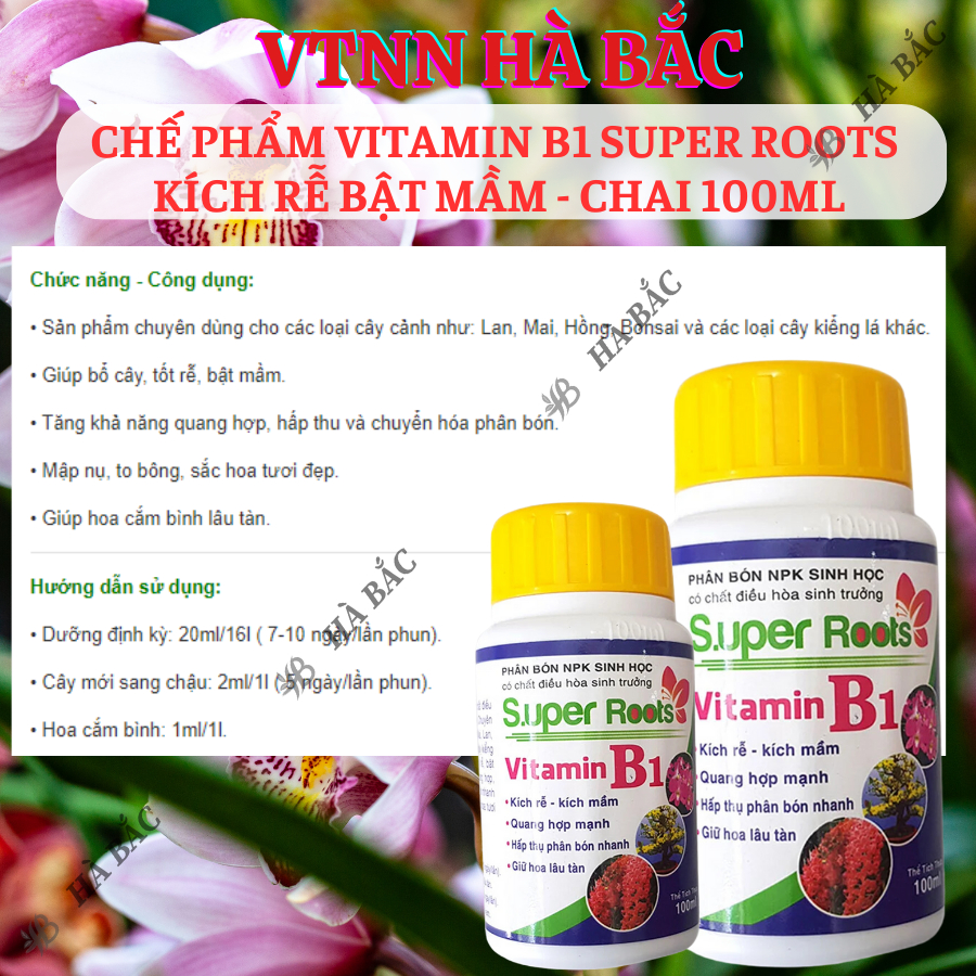 Chế phẩm Vitamin B1 Super Roots  kích rễ bật mầm - chai 100ml, Kích rễ, giữ hoa lâu tàn cho cây cảnh, hoa lan