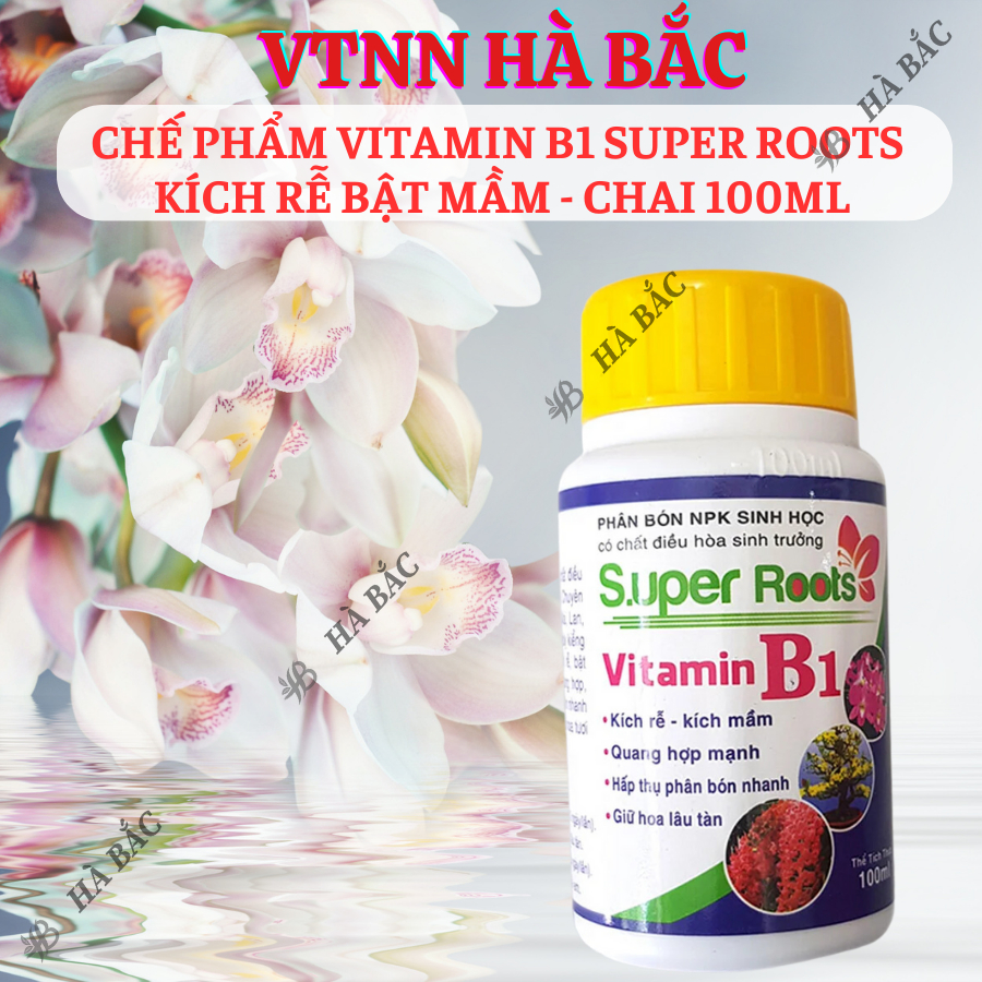 Chế phẩm Vitamin B1 Super Roots  kích rễ bật mầm - chai 100ml, Kích rễ, giữ hoa lâu tàn cho cây cảnh, hoa lan