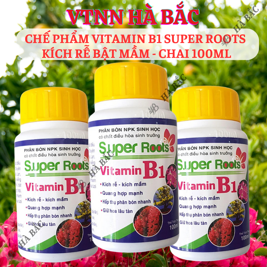 Chế phẩm Vitamin B1 Super Roots  kích rễ bật mầm - chai 100ml, Kích rễ, giữ hoa lâu tàn cho cây cảnh, hoa lan