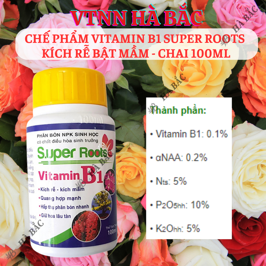 Chế phẩm Vitamin B1 Super Roots  kích rễ bật mầm - chai 100ml, Kích rễ, giữ hoa lâu tàn cho cây cảnh, hoa lan