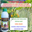 Phân Bón Lá Org-Hum 1 Lít Bổ Sung Humic Acid Và Fulvic Acid (Chai 1 Lít) Dành Cho Hoa Lan Hoa Hồng, Cây Kiểng