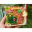 Bánh trung thu Trà Xanh 2 trứng 200gr Tân Dân Lợi