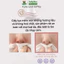 Giấy Rút Lụa GÓI TO TEDDY BEAR SOFTNESS mềm mịn dai dày không mùi không bụi ép viền 4D sang trọng