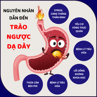 [Trào ngược,ợ hơi] Trà dạ dày Fengcha giúp giảm ợ nóng,ợ hơi, trào ngược, đau thượng vị bịch 30 lọc