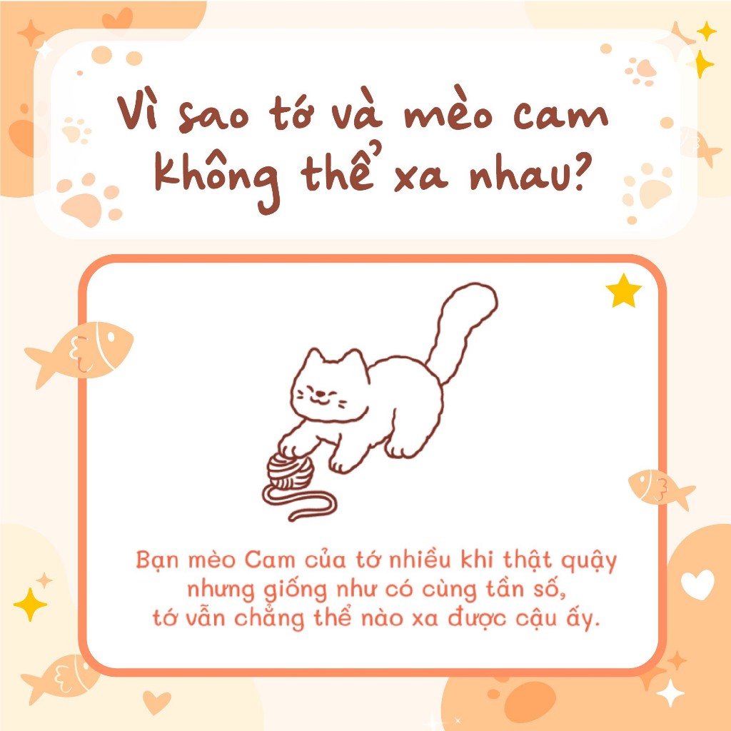 Ảnh Tớ có nuôi một chú mèo Cam 2
