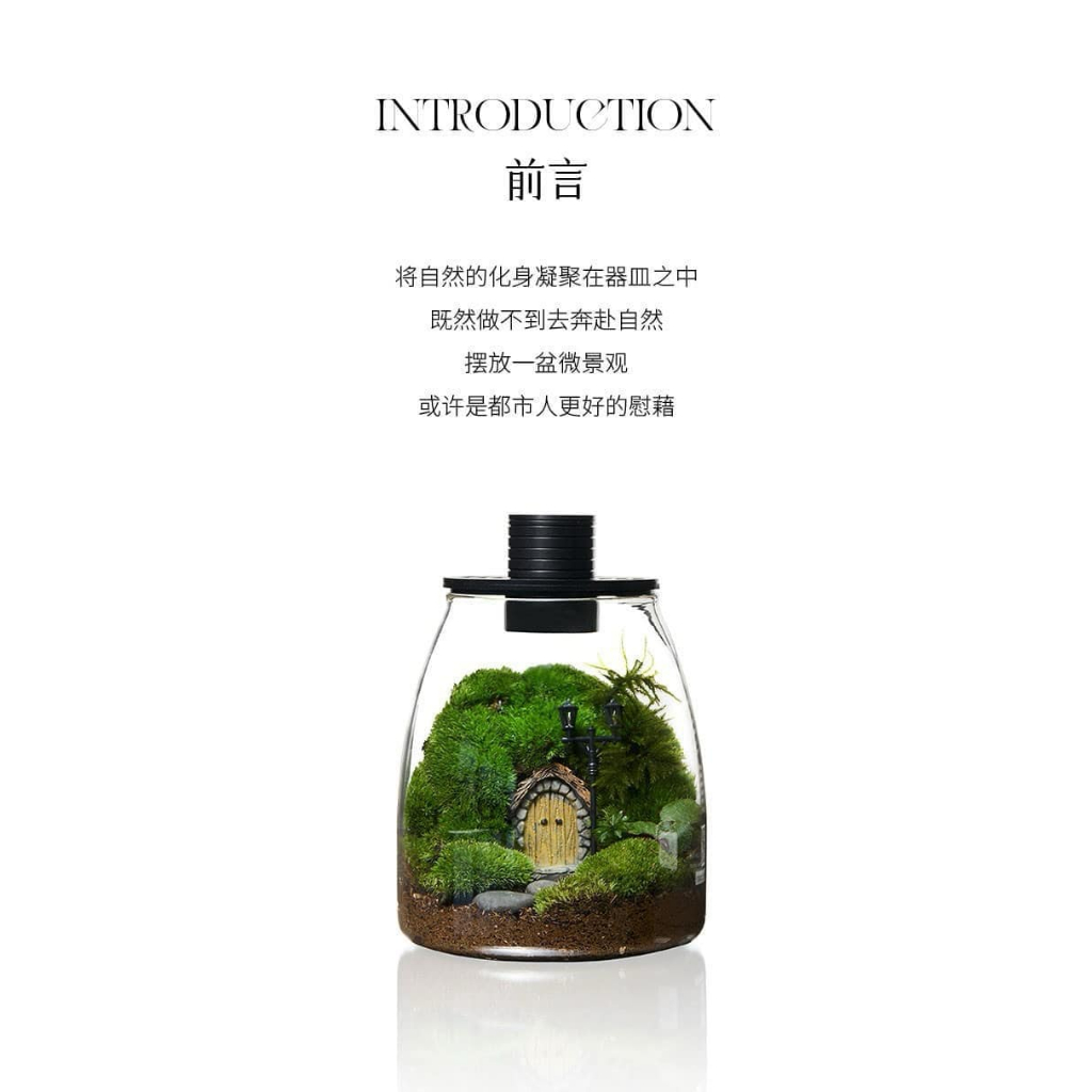 Mô hình cổng cổ tích setup terrarium, tiểu cảnh