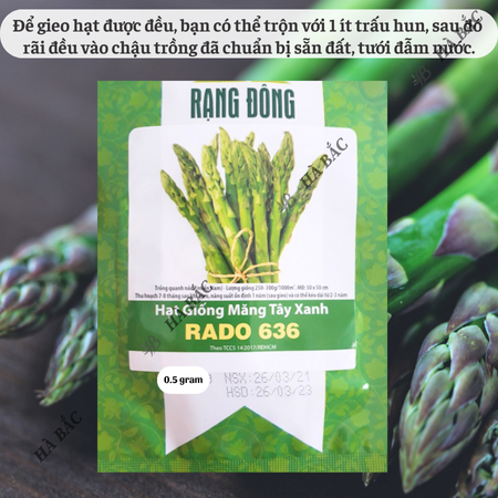 Hạt Giống Măng Tây Xanh Rado 636 (Gói 0,5g~25 Hạt) Rạng Đông, Nảy Mầm Tốt, Sinh Trưởng, Phát Triển Mạnh