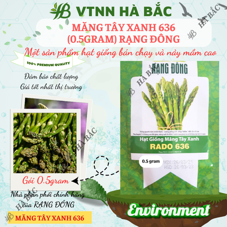 Hạt Giống Măng Tây Xanh Rado 636 (Gói 0,5g~25 Hạt) Rạng Đông, Nảy Mầm Tốt, Sinh Trưởng, Phát Triển Mạnh