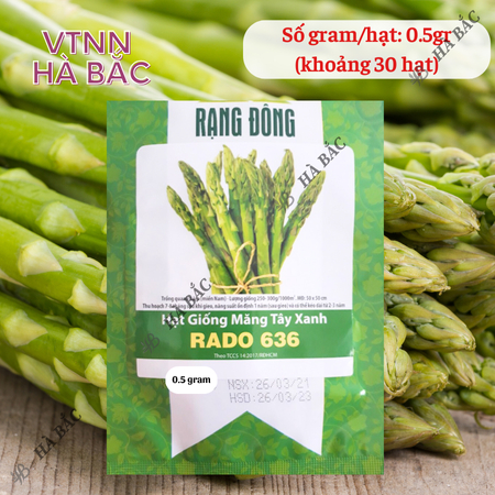 Hạt Giống Măng Tây Xanh Rado 636 (Gói 0,5g~25 Hạt) Rạng Đông, Nảy Mầm Tốt, Sinh Trưởng, Phát Triển Mạnh