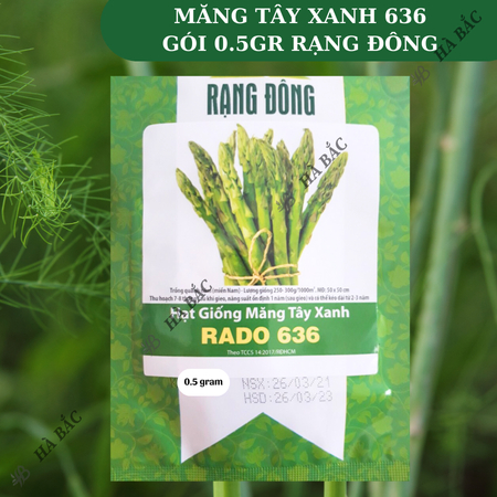 Hạt Giống Măng Tây Xanh Rado 636 (Gói 0,5g~25 Hạt) Rạng Đông, Nảy Mầm Tốt, Sinh Trưởng, Phát Triển Mạnh