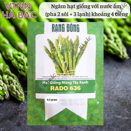 Hạt Giống Măng Tây Xanh Rado 636 (Gói 0,5g~25 Hạt) Rạng Đông, Nảy Mầm Tốt, Sinh Trưởng, Phát Triển Mạnh