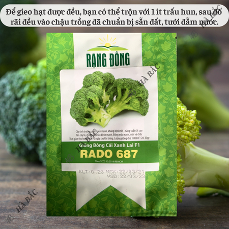 Hạt Giống Bông Cải Xanh RADO 687 (0,2g~75 Hạt) Rạng Đông, Hạt Giống Trồng Quanh Năm, Chịu Nhiệt Tốt - [Súp Lơ Xanh]