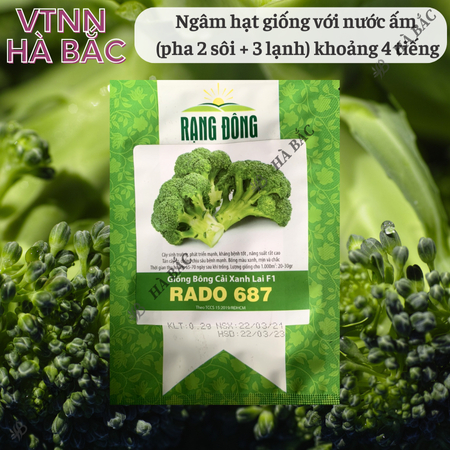 Hạt Giống Bông Cải Xanh RADO 687 (0,2g~75 Hạt) Rạng Đông, Hạt Giống Trồng Quanh Năm, Chịu Nhiệt Tốt - [Súp Lơ Xanh]