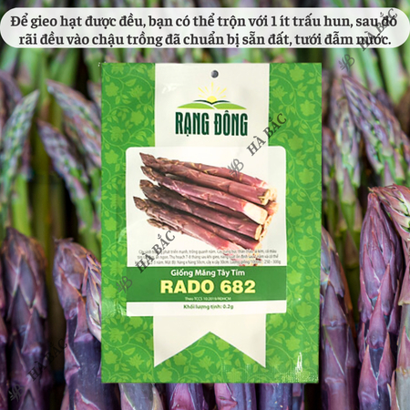 Hạt Giống Măng Tây Tím Rado 682 (Gói 0,2g~15 Hạt) Rạng Đông, Nảy Mầm Tốt, Sinh Trưởng, Phát Triển Mạnh