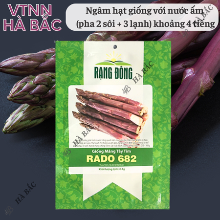 Hạt Giống Măng Tây Tím Rado 682 (Gói 0,2g~15 Hạt) Rạng Đông, Nảy Mầm Tốt, Sinh Trưởng, Phát Triển Mạnh
