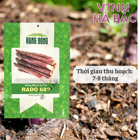 Hạt Giống Măng Tây Tím Rado 682 (Gói 0,2g~15 Hạt) Rạng Đông, Nảy Mầm Tốt, Sinh Trưởng, Phát Triển Mạnh