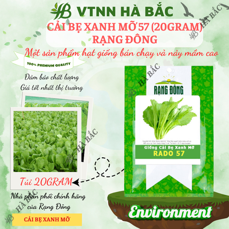 Hạt Giống Cải Bẹ Xanh Mỡ Rado 57 (20g~2000 Hạt) Rạng Đông Chịu Nhiệt Tốt, Nảy Mầm Nhanh, Phát Triển Mạnh