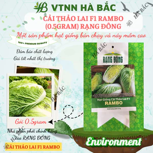 Hạt Giống Cải Thảo Rambo (Gói 0,5g~120 Hạt) Rạng Đông, Bắp Cải To, Trồng Quanh Năm, Ít Sâu Bệnh