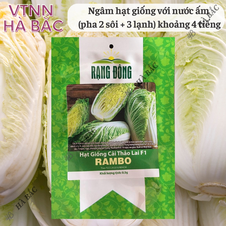 Hạt Giống Cải Thảo Rambo (Gói 0,5g~120 Hạt) Rạng Đông, Bắp Cải To, Trồng Quanh Năm, Ít Sâu Bệnh