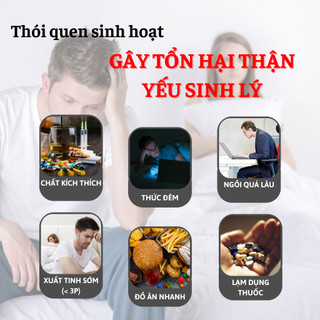 [BỔ THẬN ÂM DƯƠNG] Trà bổ thận Fengcha bổ thận âm , bổ thận dương , cân bằng âm dương trong thận bịch 30 gói lọc