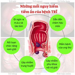 Trà trĩ Fengcha trĩ nội trĩ ngoại, ngứa trĩ, chấm dứt cơn đau trĩ bịch 30 gói lọc