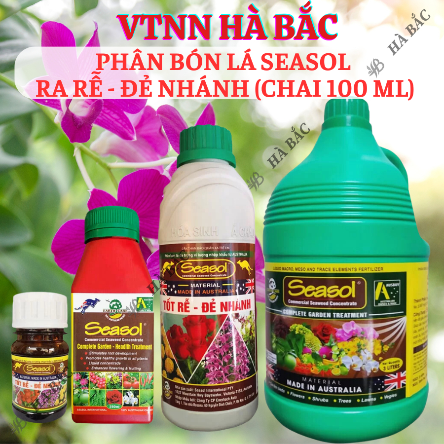 Phân Bón LÁ Seasol  Ra Rễ - Đẻ Nhánh (Chai 100ml) dành cho hoa lan hoa hồng, cây kiểng