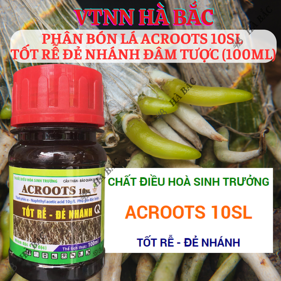 Thuốc kích rễ ACROOTS 10SL Chai 100ML – Phân Bón Lá Siêu Kích Rễ, Đẻ Nhánh