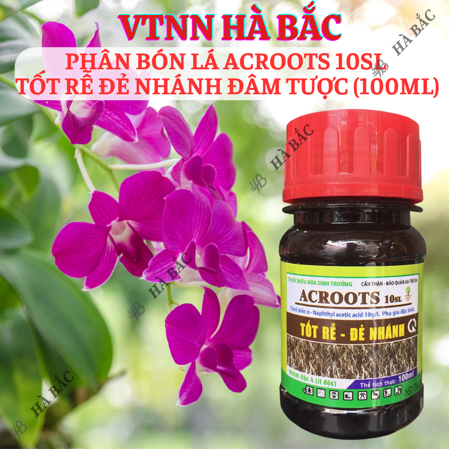 Thuốc kích rễ ACROOTS 10SL Chai 100ML – Phân Bón Lá Siêu Kích Rễ, Đẻ Nhánh