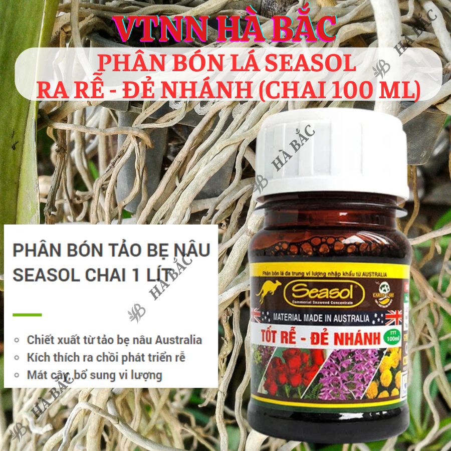 Phân Bón LÁ Seasol  Ra Rễ - Đẻ Nhánh (Chai 100ml) dành cho hoa lan hoa hồng, cây kiểng
