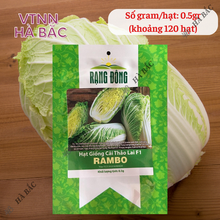 Hạt Giống Cải Thảo Rambo (Gói 0,5g~120 Hạt) Rạng Đông, Bắp Cải To, Trồng Quanh Năm, Ít Sâu Bệnh
